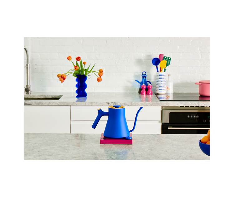 Great Jones x Fellow EKG Pro Kettle Accessories Great Jones